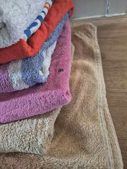 Photo of free Old towels (BR8) #2