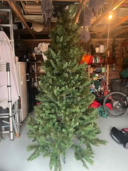 Photo of free Artificial Christmas Tree (Burton Latimer NN15) #1