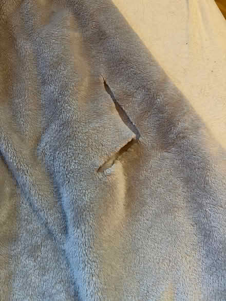 Photo of free Very large soft grey blanket (Downers Grove) #2