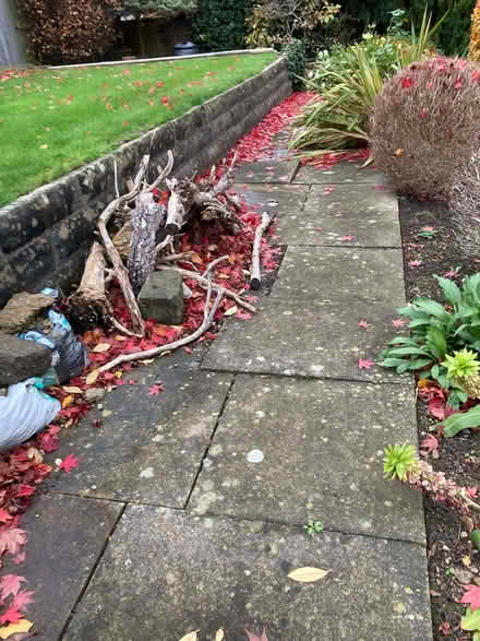 Photo of free Wood, for bonfires this weekend? (Harrogate HG1) #2