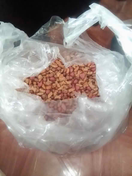 Photo of free Doggy Vittles 10031 (Hamilton Heights 10031) #1