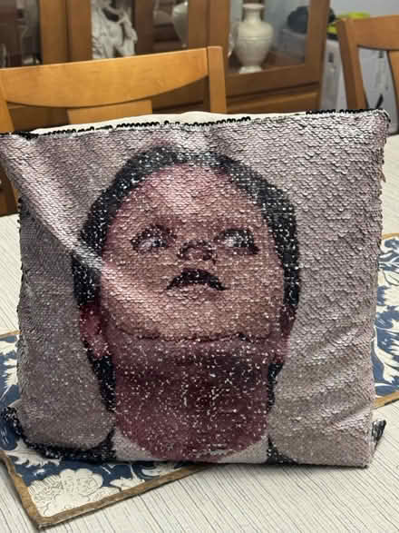 Photo of free Dwight pillow - the office (Cedar knolls, NJ) #1