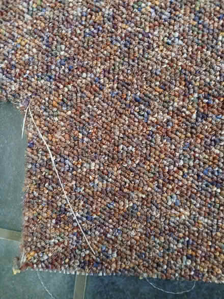 Photo of free Carpet (S17 (Dore)) #2
