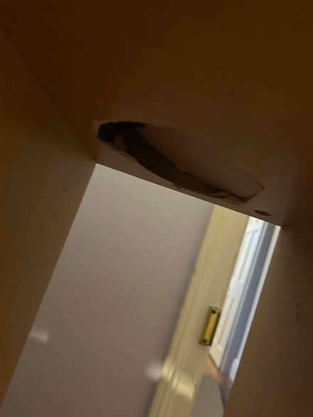 Photo of free Bookcase (Richmond TW10) #2