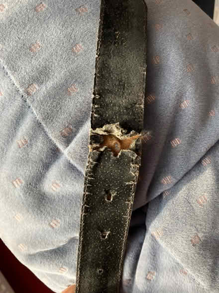 Photo of free Small-size bronze coloured leather belt (Bilton HG1) #2