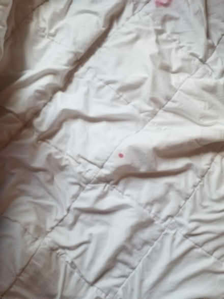 Photo of free summer duvet quilt (G20 Glasgow Maryhill) #4