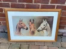 Photo of free Horses picture (Spital CH63) #1