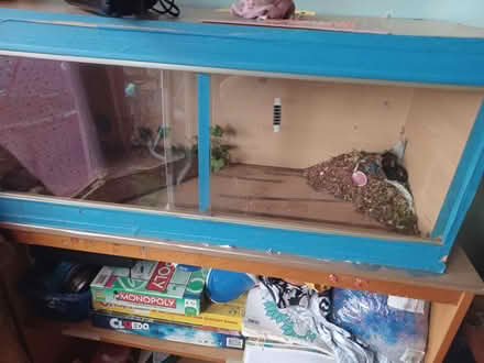 Photo of free Vivarium/ tank 3 foot (Tilehurst RG30) #3