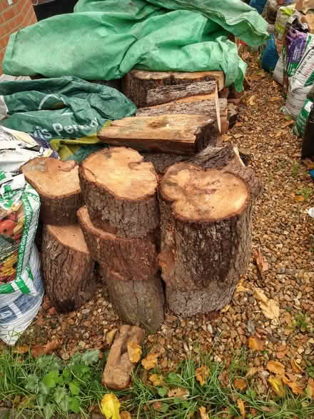 Photo of free Pear wood (Palmers Green N13) #3