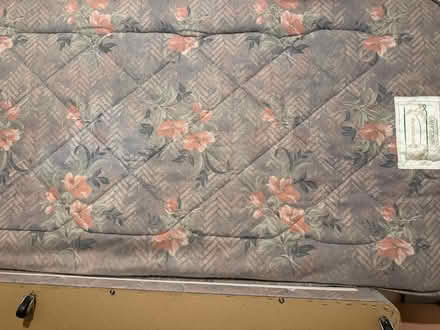 Photo of free Single bed (LE2 (London road)) #3