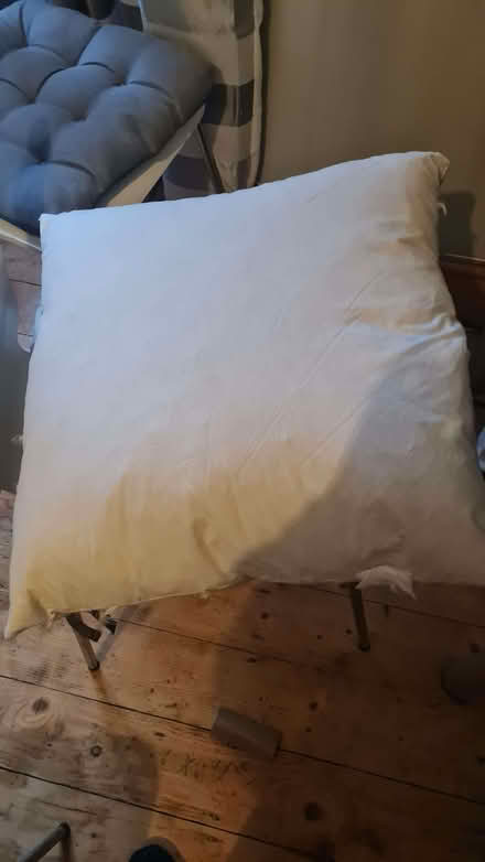 Photo of free Feather Cushion pad insert 21" /53cm (Grangetown CF11) #1