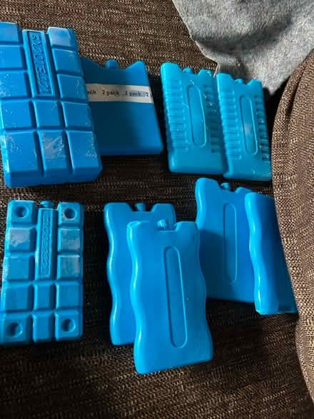 Photo of free 9 Ice blocks (RH13) #1