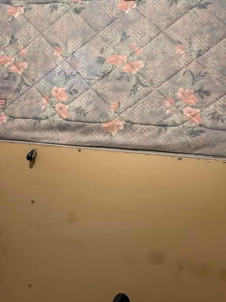 Photo of free Single bed (LE2 (London road)) #1