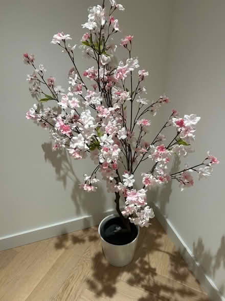 Photo of free Fake Plant (Canary Wharf E14) #1