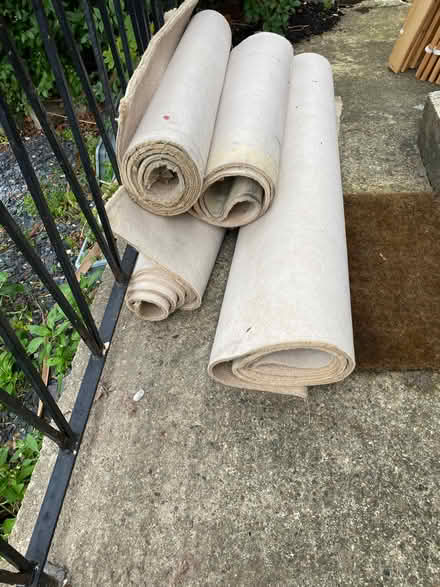 Photo of free Old carpet (Stacey Bank S6) #1