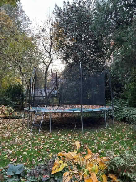 Photo of free Trampoline (Wyynewood pa) #1