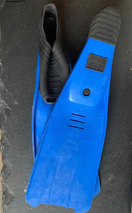 Photo of free Flippers (Booker HP12) #1