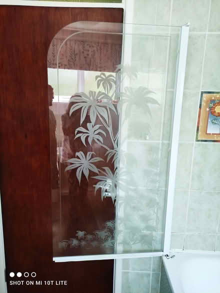 Photo of free Bath/Shower Screen (Saint Leonards Ward EX2) #2