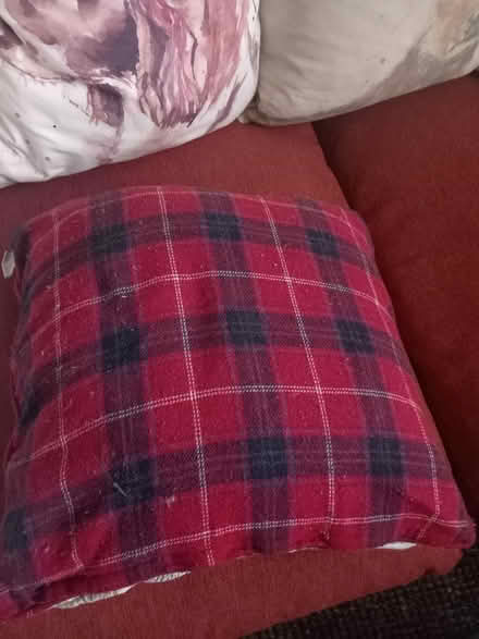 Photo of free Cushion (Lower Morden SM4) #2