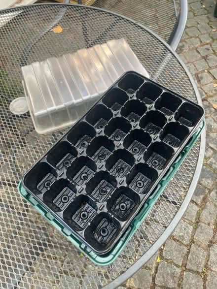 Photo of free Seed trays (Frodsham WA6) #1