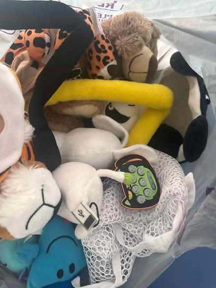 Photo of free Cuddly toys #2 (Whetstone N20) #2