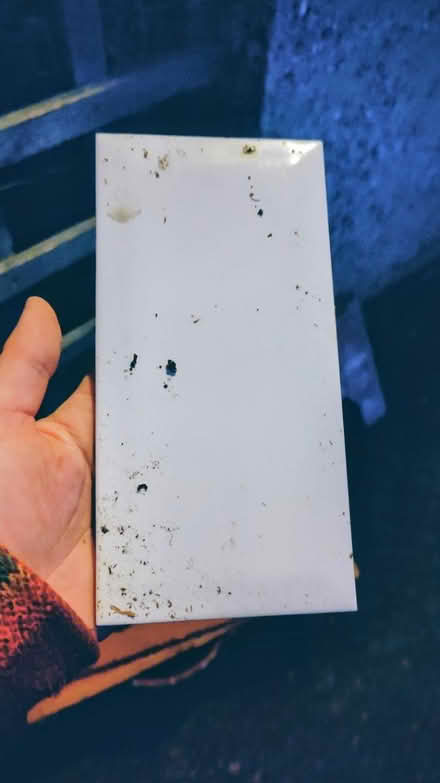 Photo of free White wall tiles (mix of new&used) (SM1) #2