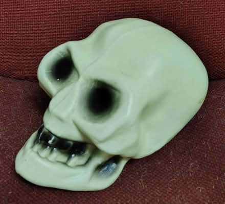 Photo of free Plastic skull and back scratcher (Fremont) #3