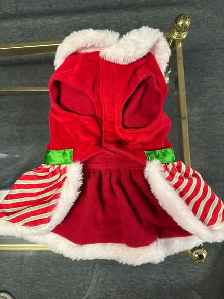 Photo of free Medium Christmas Dog Dress (West Bristol) #2