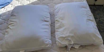 Photo of free 2 Pillows (Cupertino CA) #1