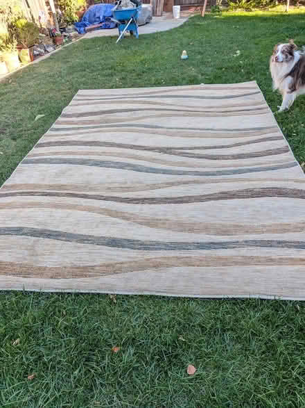 Photo of free Rug/Carpet (Alameda) #1