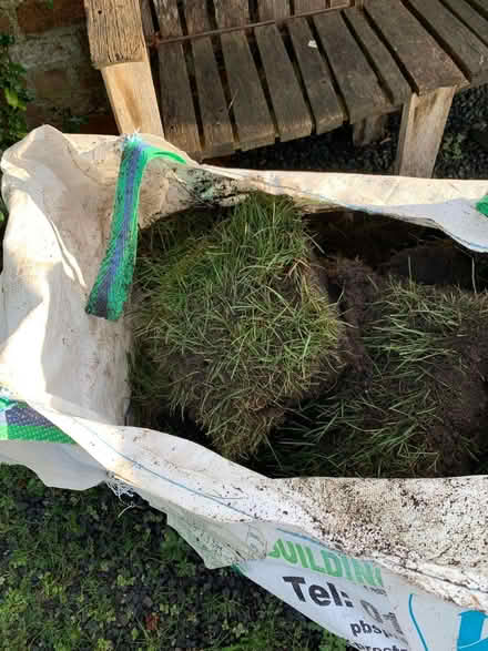 Photo of free Turf (Presteigne LD8) #1