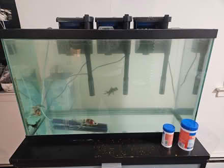 Photo of free fish tank - (fish not included) (Great Neck, NY) #1