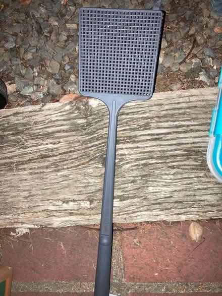 Photo of free Fly swatter (Foothill Boulevard Cupertino) #1