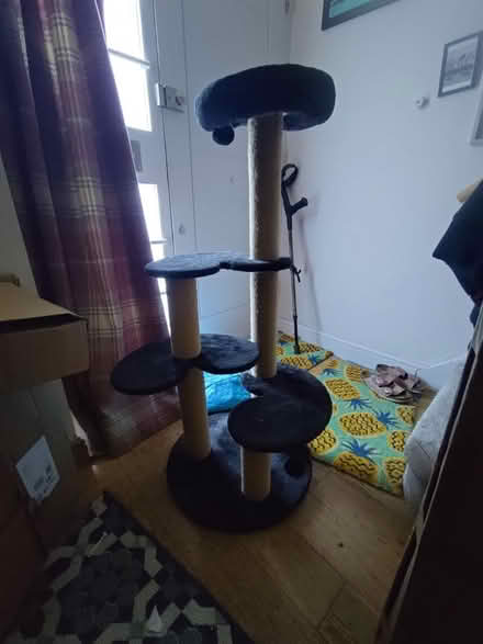 Photo of free Cat stand (Wimbledon, SW19) #3
