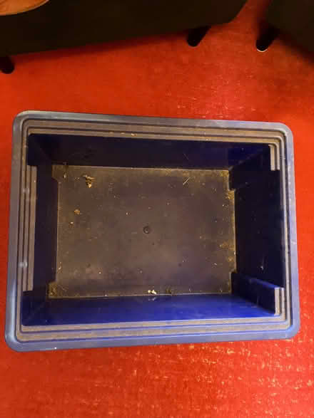 Photo of free Blue storage box (City Centre NR1) #1