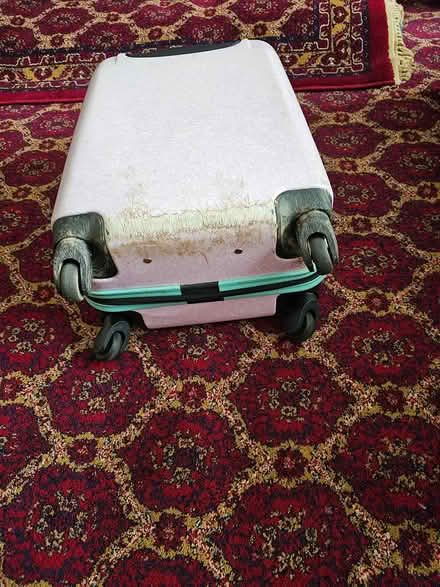 Photo of free Cabin bag (Forest Gate E7) #1