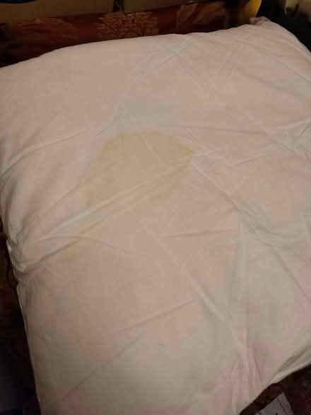 Photo of free 4x M&S 45cm square cushions (Southbourne BH5) #2