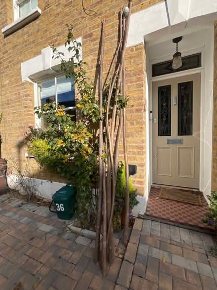 Photo of free Long sturdy garden poles (Teddington TW11) #1