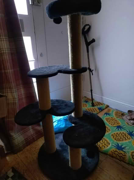 Photo of free Cat stand (Wimbledon, SW19) #1