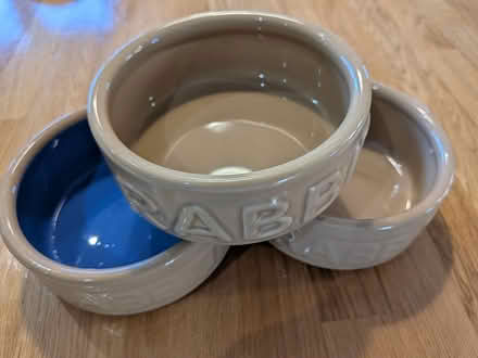 Photo of free Rabbit food/water bowls (Witham CM8) #2