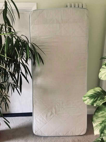 Photo of free Single mattress (Filsham Road TN38) #3