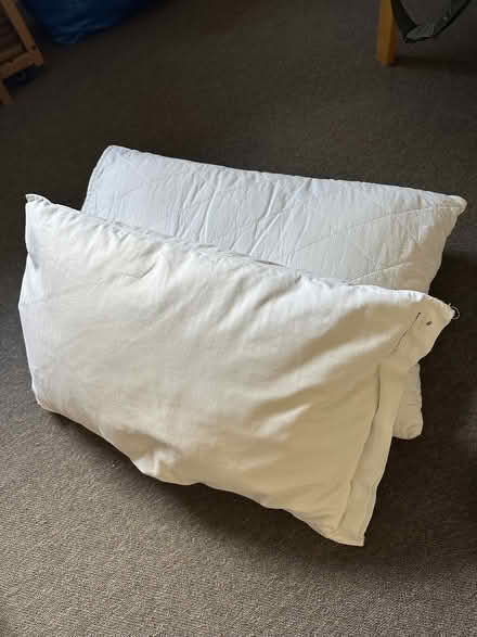 Photo of free 2 white pillows (Norham Manor OX2) #1