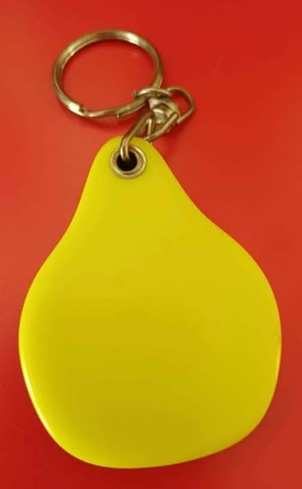 Photo of free Pear-shaped keyring with mirror (Bradbourne Lakes TN13) #1