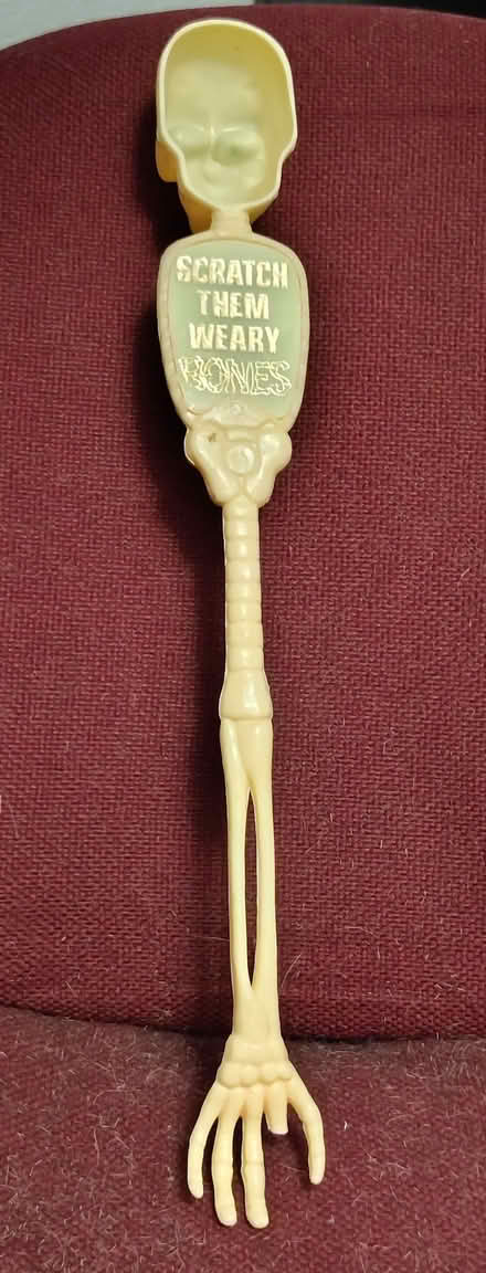 Photo of free Plastic skull and back scratcher (Fremont) #2
