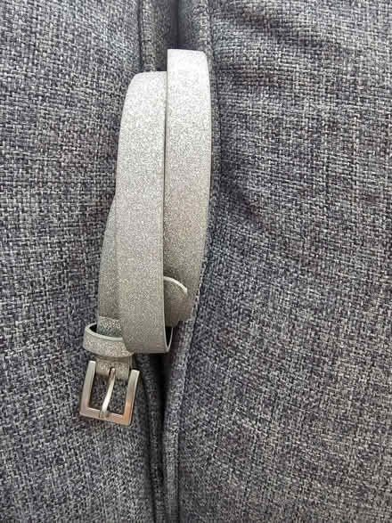 Photo of free Belts (Lower Morden SM3) #2