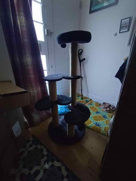 Photo of free Cat stand (Wimbledon, SW19) #2