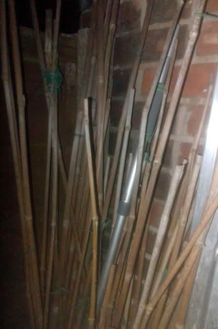 Photo of free Garden canes various (Ronnis mount OL7) #2