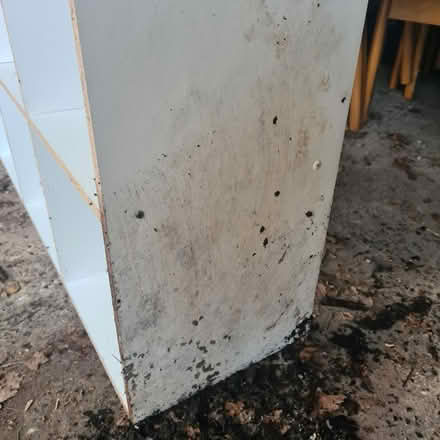 Photo of free White cube unit, not Kallax (Southgate RH11) #2