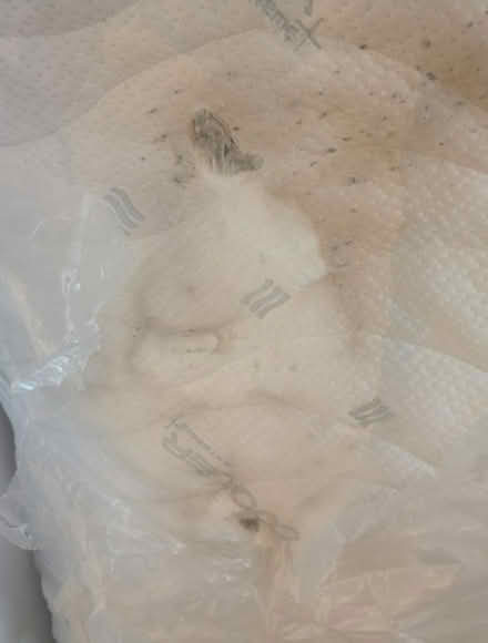 Photo of free gel mattress 4 '6 size (cr0 2ht) (Croydon CR0) #4