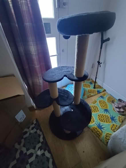 Photo of free Cat stand (Wimbledon, SW19) #4